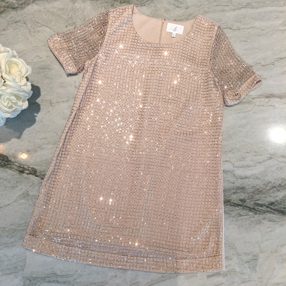 Sequin Rose Gold Dress - Picture 2 of 8